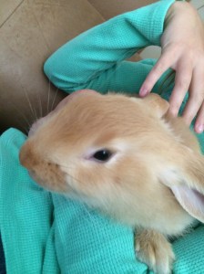 Bubbles being a cuddle bug!