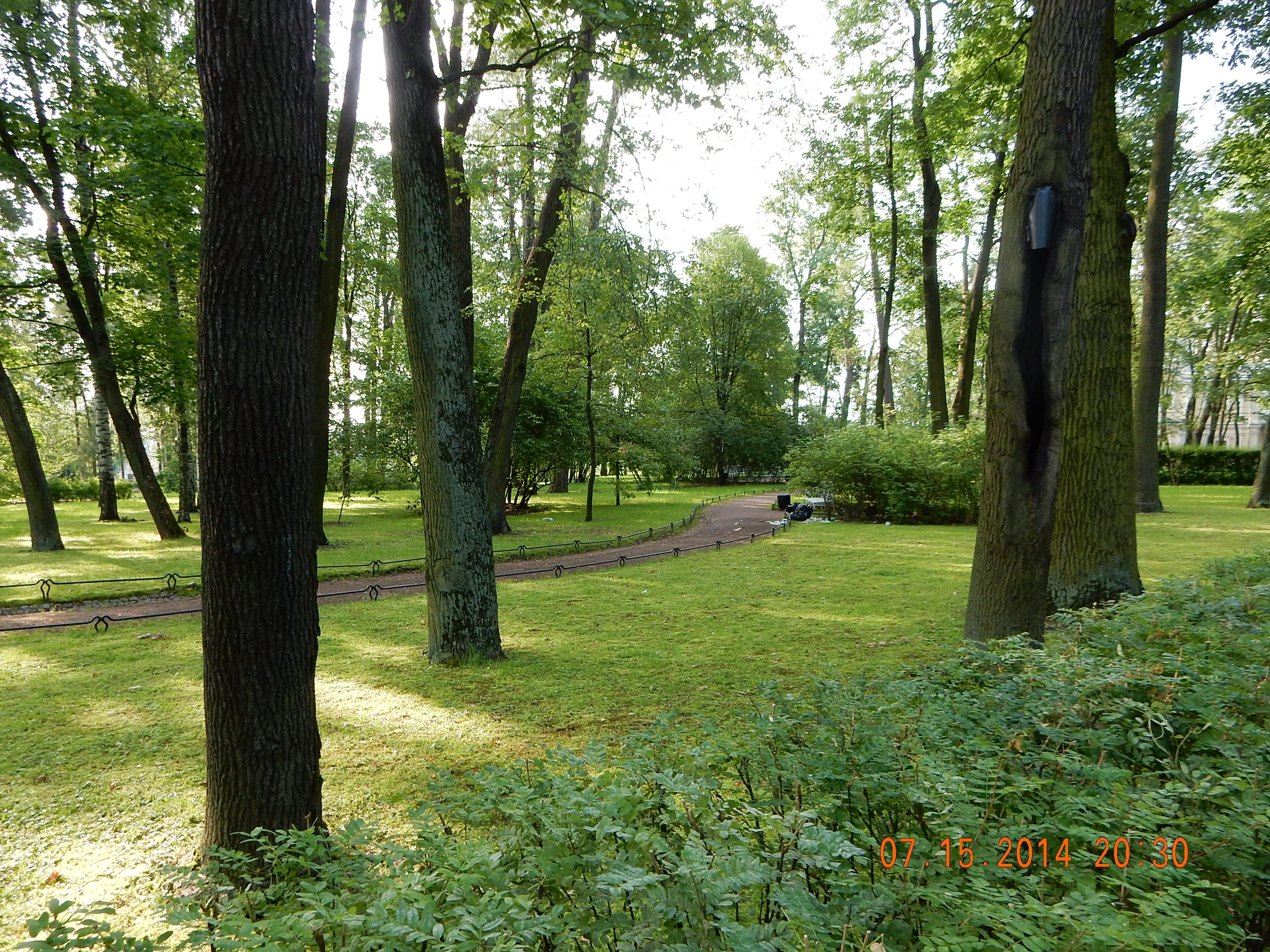 Park at the Summer Palace