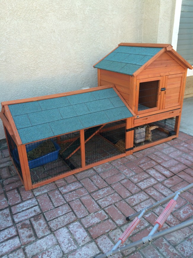 The House of Bubbles