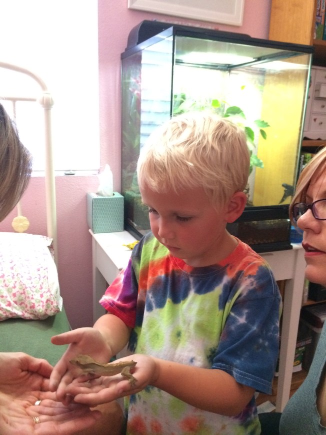Nolan's first time with a gecko