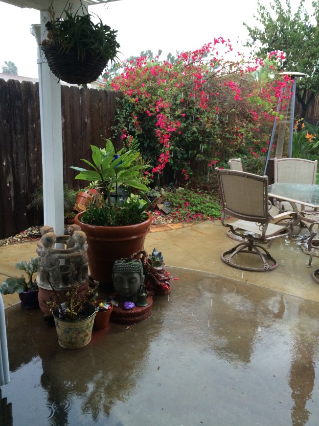 The rain has started  12/14