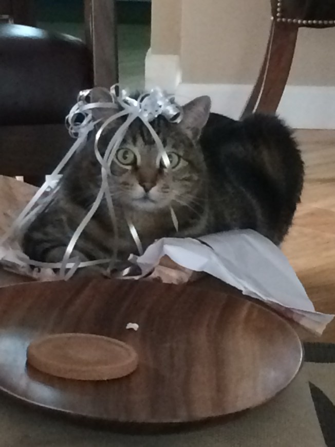 Kramer being a kitty