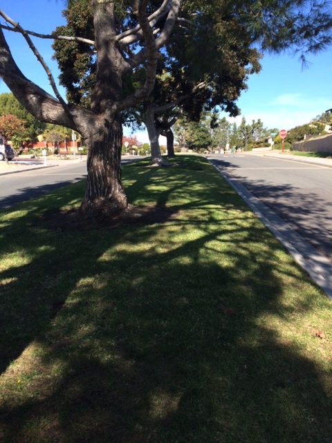 A Beautiful January morning.