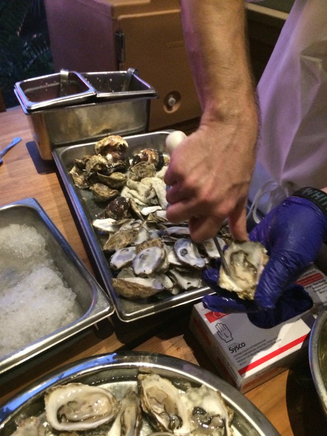 Oysters on the half shell.