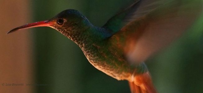 Look who came for breakfast chats1