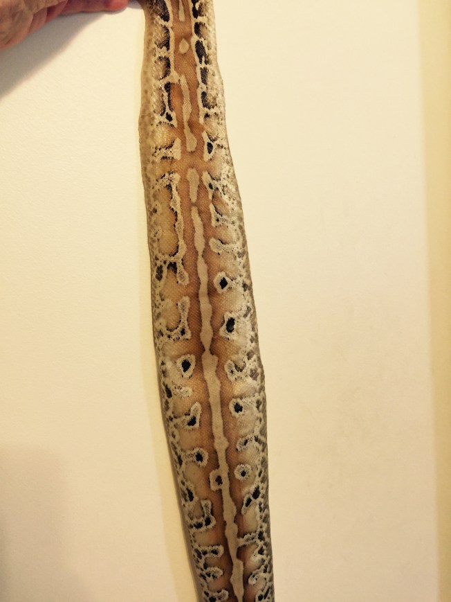 Almost the full length on the skin.