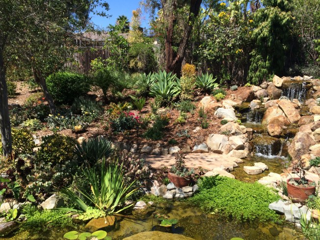 Barbaras beautiful your & waterfall.