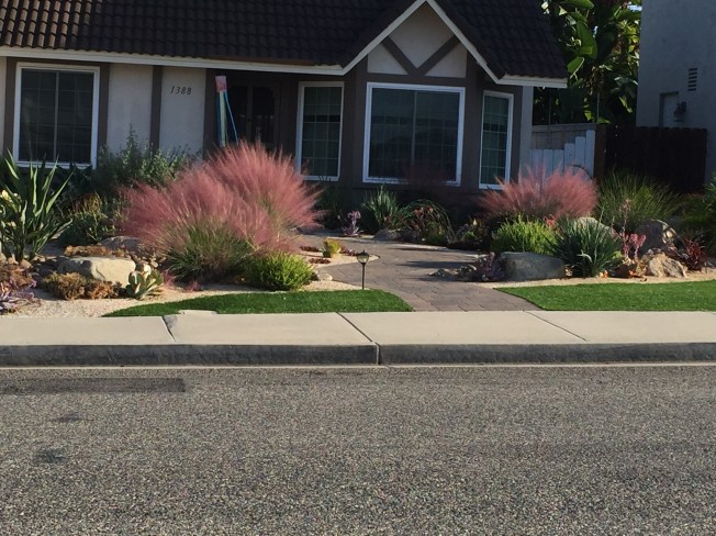New Drought Tolerant Landscaping