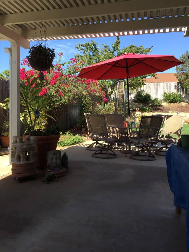 My backyard on a HOT day