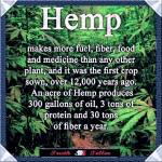 12227622_489012731260330_4069044491574808197_n