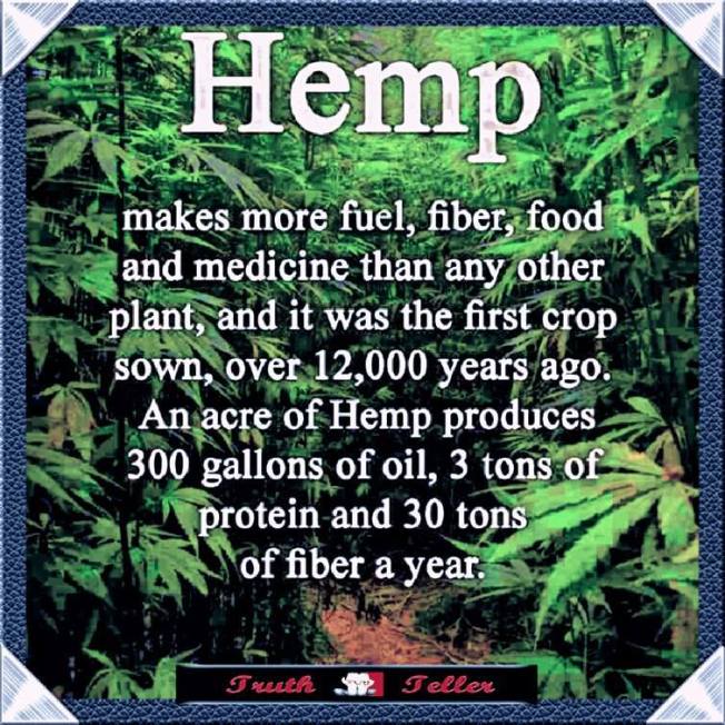 12227622_489012731260330_4069044491574808197_n