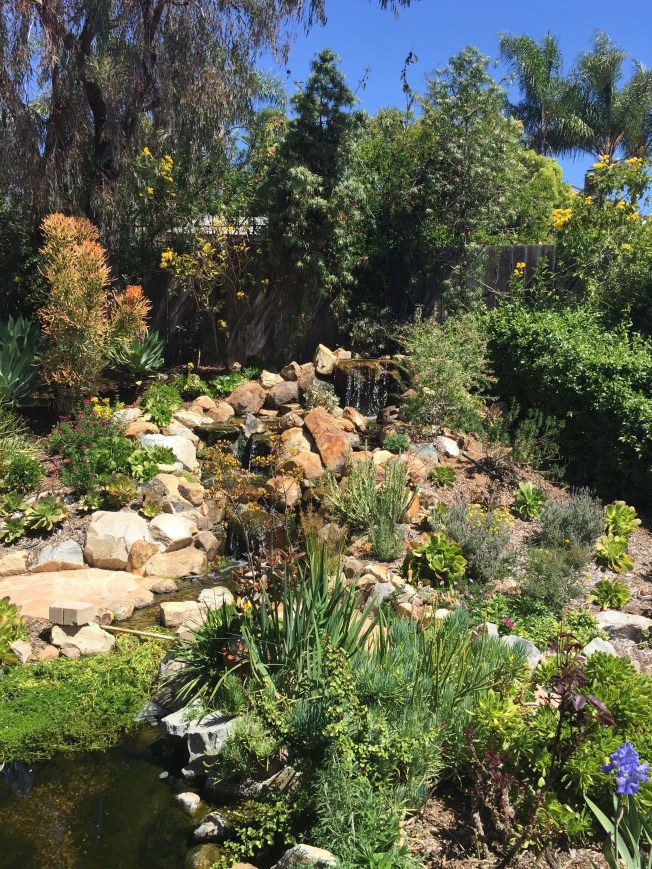 I prefer to remember my friend by her peacefully beautiful garden 