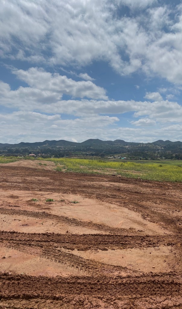 A landscape showing a muddy field with tire tracks, rolling hills in the distance under a partly cloudy sky, indicating recent rainfall.