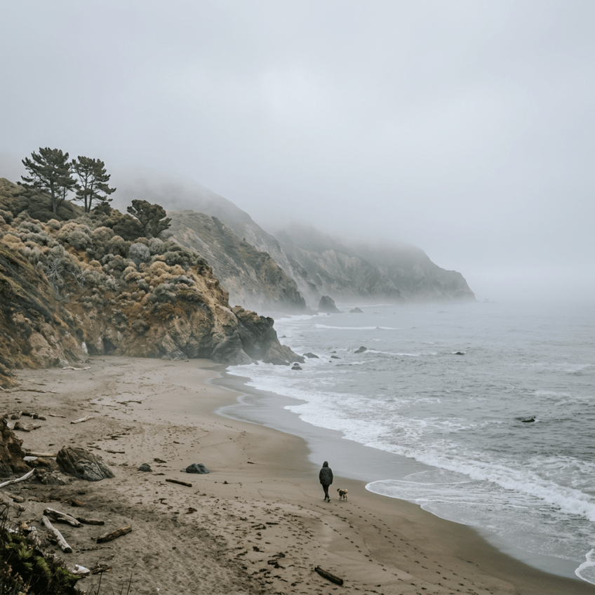 Person walking dog on sandy beach with rocky cliffs and fog