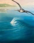 images-2