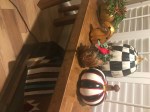 Holiday Pumpkins
